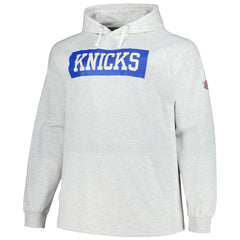 Ash New York Knicks Big & Tall Raglan Tri-Blend Pullover Hoodie | NBA