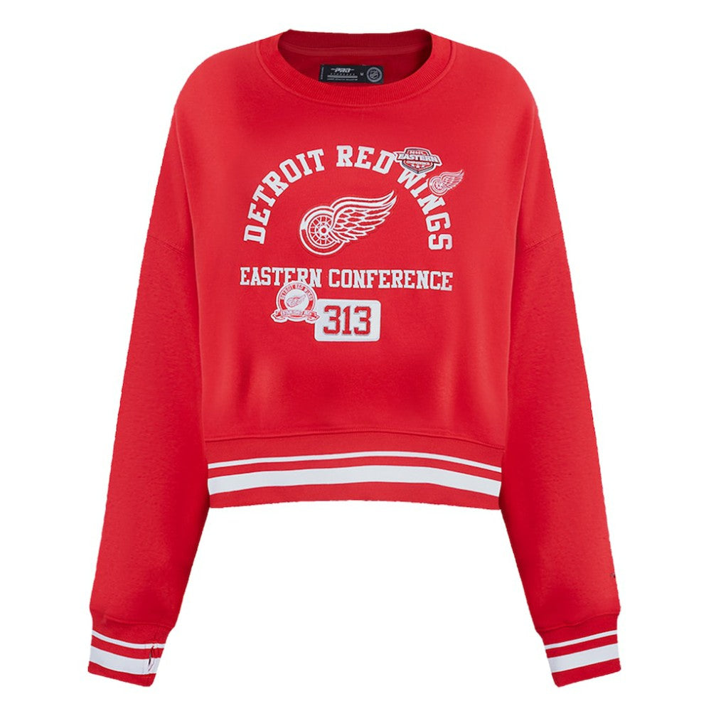 Detroit Red Wings Pro Standard Women's Area Code Cropped Pullover Sweatshirt -  NHL Sweatshirts