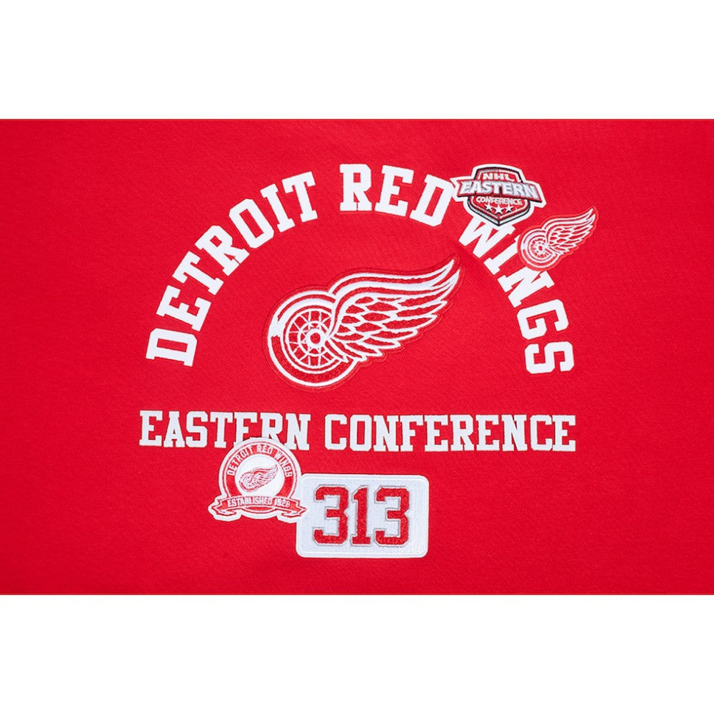 Detroit Red Wings Pro Standard Women's Area Code Cropped Pullover Sweatshirt -  NHL Sweatshirts