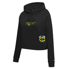 Chicago Blackhawks Pro Standard Women's Jewels Cropped Pullover Hoodie -  NHL Hoodies