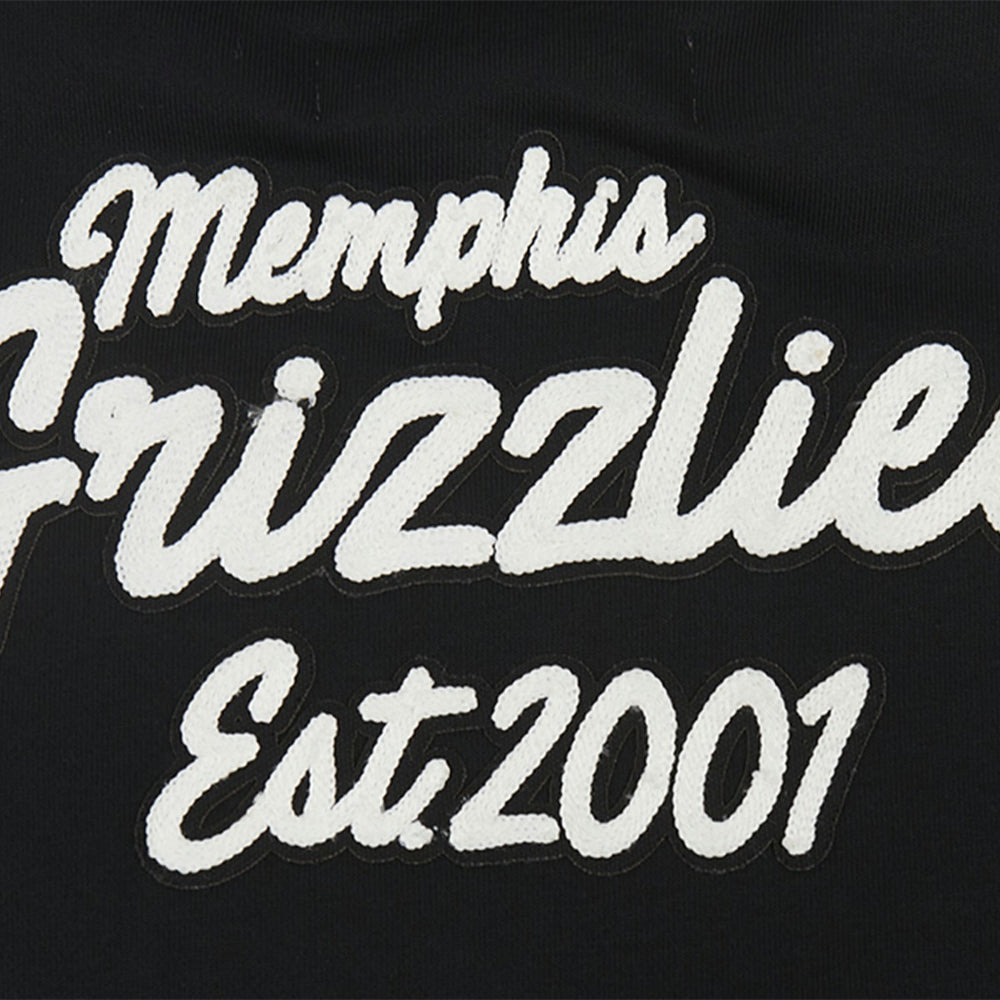 Black Memphis Grizzlies Pro Standard Women's Paint The City Cropped Pullover Sweatshirt | NBA
