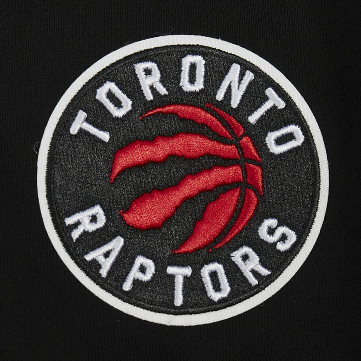 Black Toronto Raptors Pro Standard Women's Jewels Cropped Pullover Hoodie | NBA