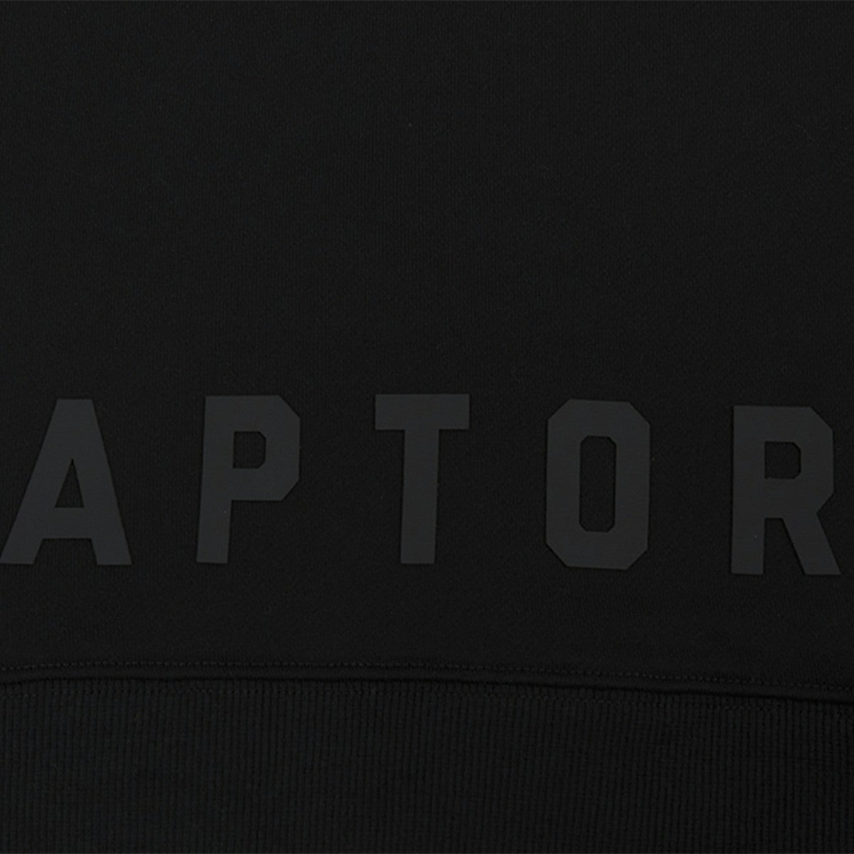 Black Toronto Raptors Pro Standard Women's Jewels Cropped Pullover Hoodie | NBA