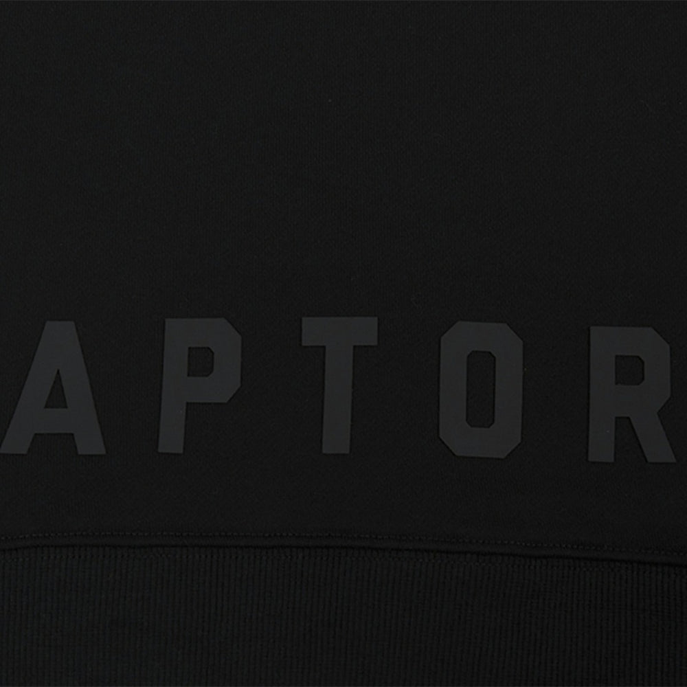 Black Toronto Raptors Pro Standard Women's Jewels Cropped Pullover Hoodie | NBA