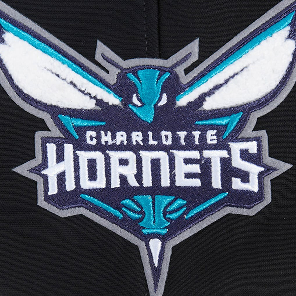 Black Charlotte Hornets Pro Standard Area Code Pullover Hoodie | NBA