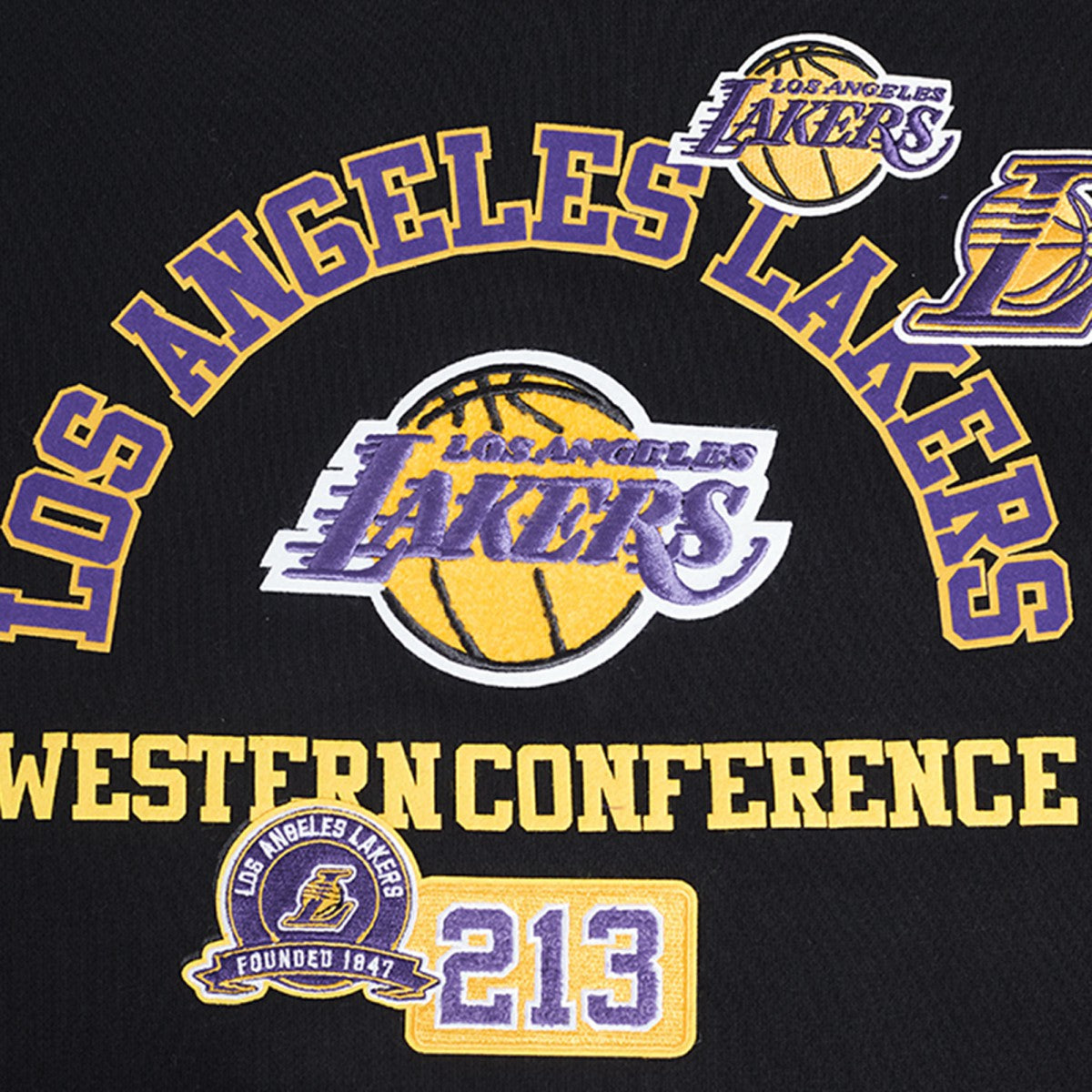 Black Los Angeles Lakers Pro Standard Area Code Pullover Hoodie | NBA
