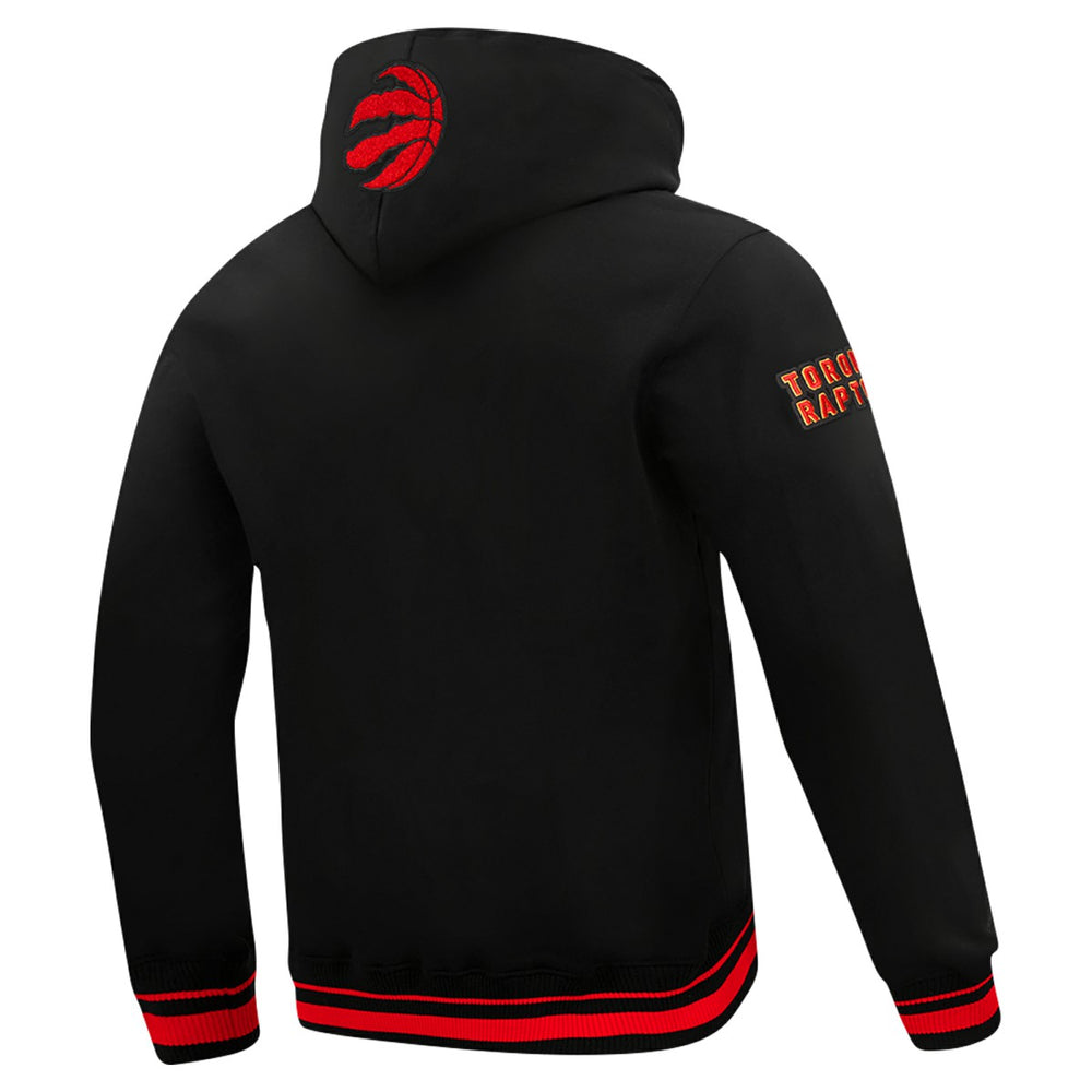 Black Toronto Raptors Pro Standard Area Code Pullover Hoodie | NBA