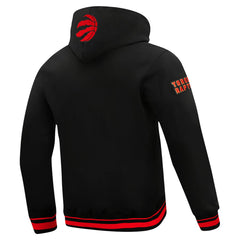 Black Toronto Raptors Pro Standard Area Code Pullover Hoodie | NBA