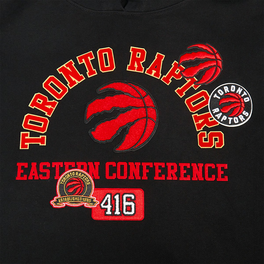 Black Toronto Raptors Pro Standard Area Code Pullover Hoodie | NBA