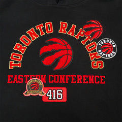 Black Toronto Raptors Pro Standard Area Code Pullover Hoodie | NBA