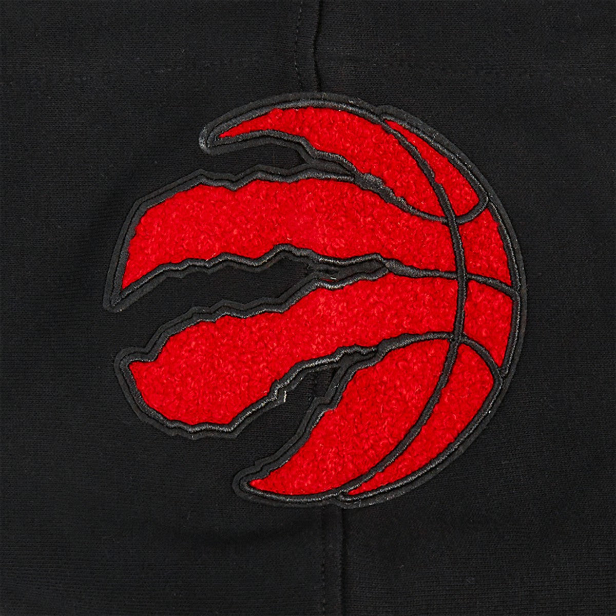 Black Toronto Raptors Pro Standard Area Code Pullover Hoodie | NBA