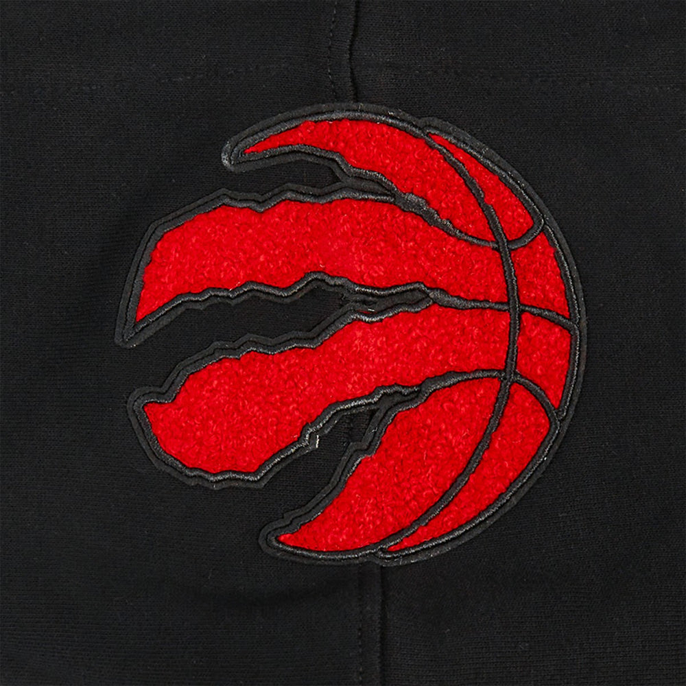 Black Toronto Raptors Pro Standard Area Code Pullover Hoodie | NBA