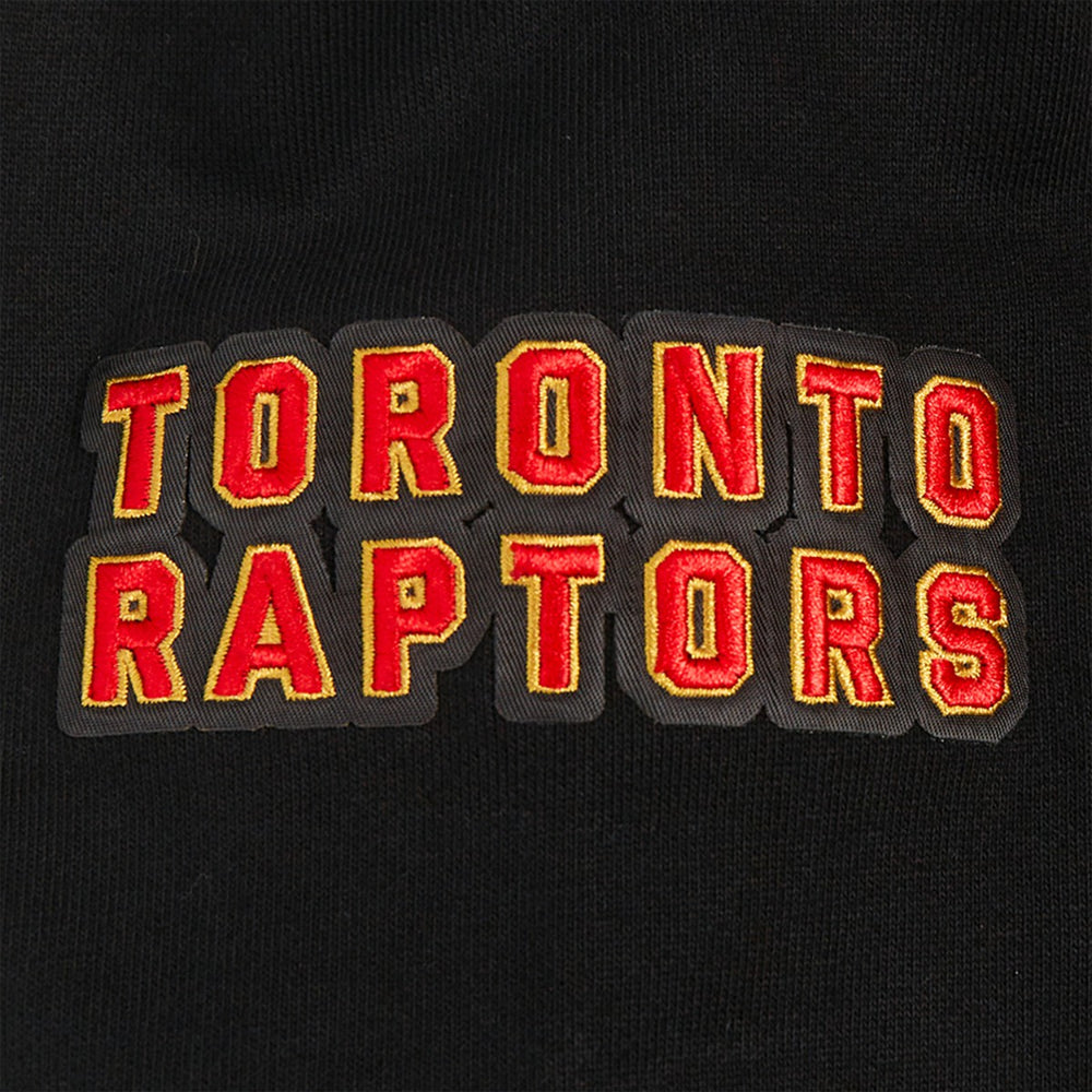 Black Toronto Raptors Pro Standard Area Code Pullover Hoodie | NBA