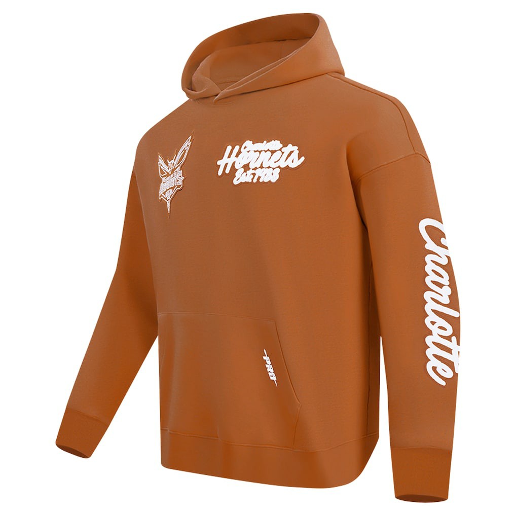 Brown Charlotte Hornets Pro Standard Paint the City Drop Shoulder Pullover Hoodie | NBA