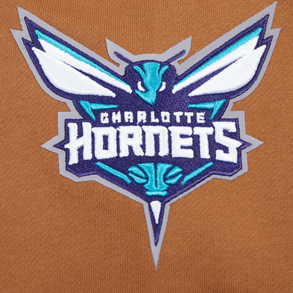 Brown Charlotte Hornets Pro Standard Paint the City Drop Shoulder Pullover Hoodie | NBA