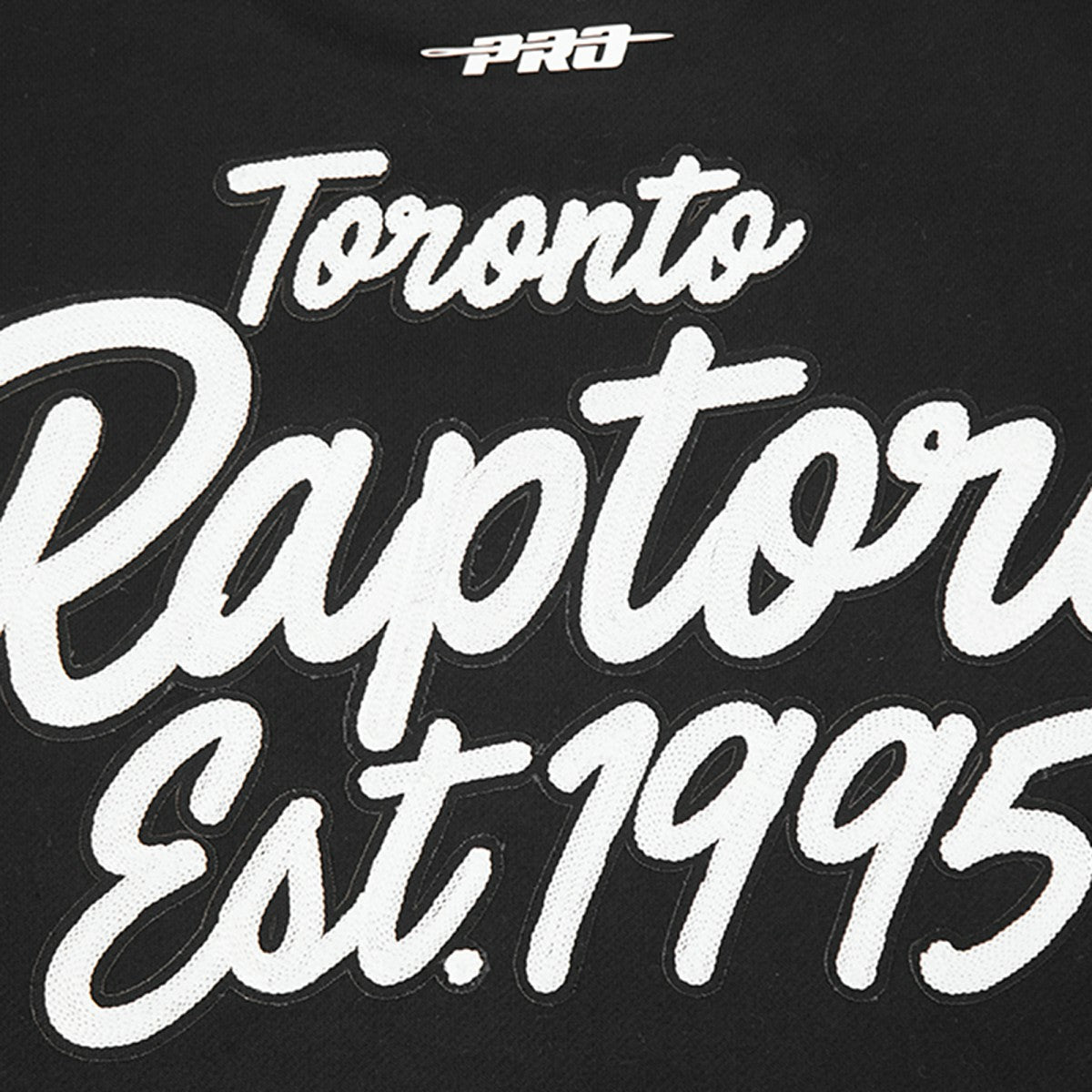 Black Toronto Raptors Pro Standard Paint the City Drop Shoulder Sweatshirt | NBA