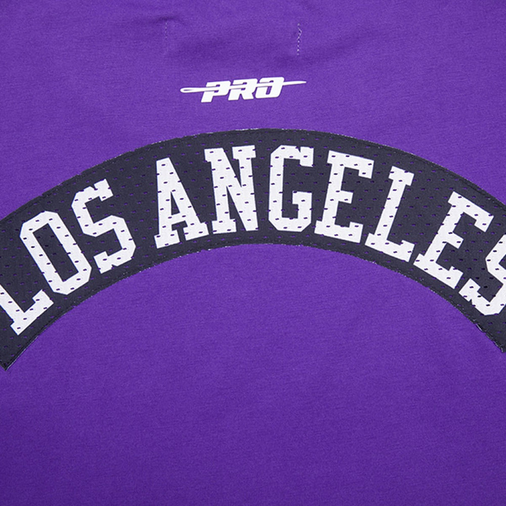 Purple Los Angeles Lakers Pro Standard Made To Play Drop Shoulder T-Shirt | NBA