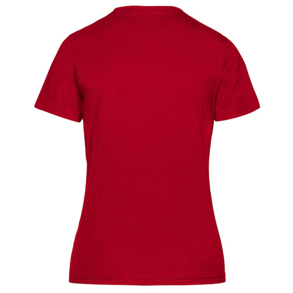 Detroit Red Wings Levelwear Women's Retro Maddox T-Shirt -  NHL T-shirts