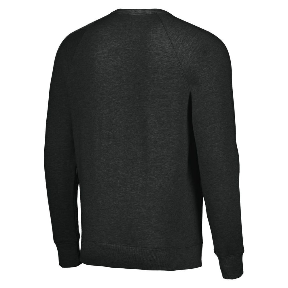 Houston Texans Homage Unisex Color Rush Crest Tri-Blend Pullover Sweatshirt | NFL Discount