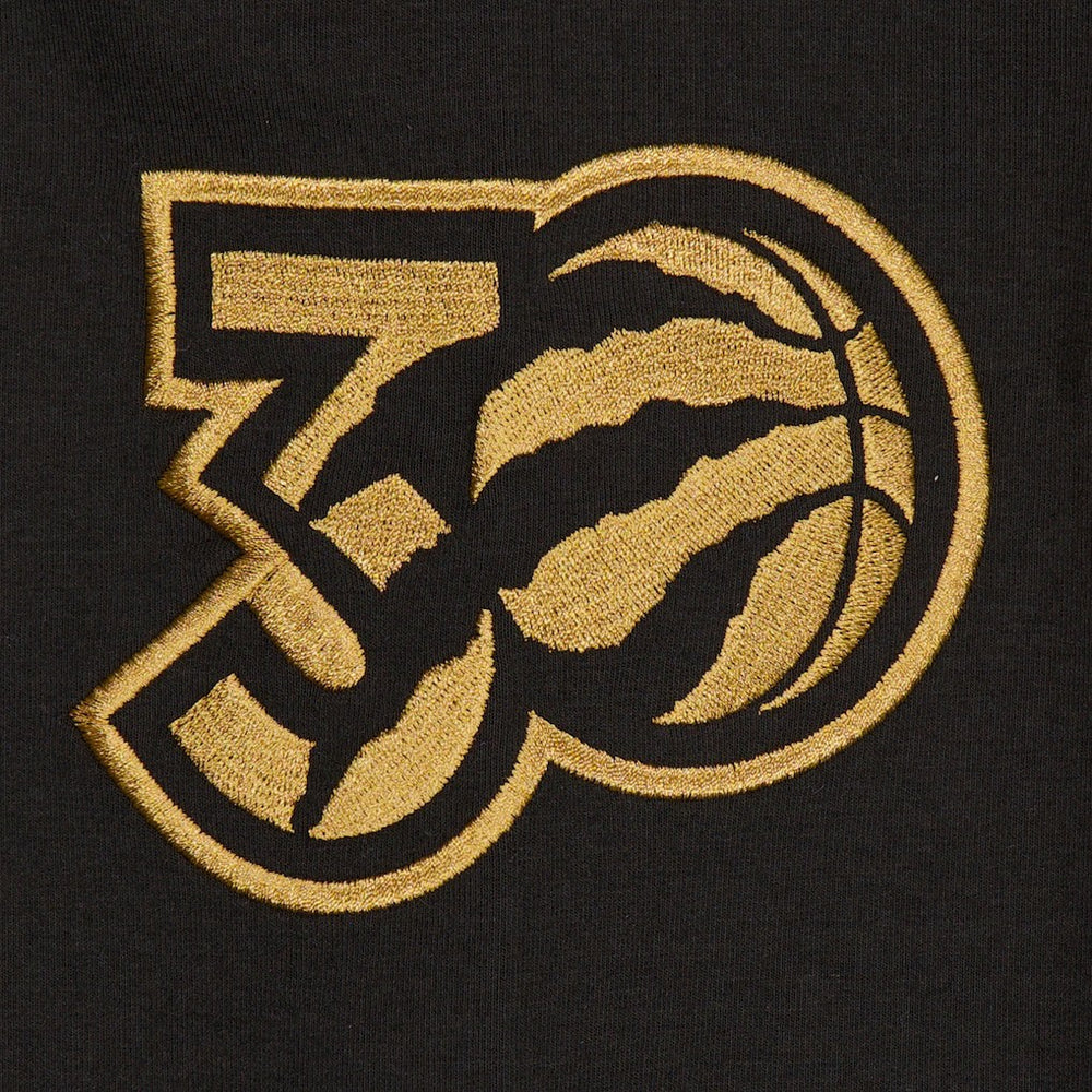 Black Toronto Raptors 2024/25 City Edition Chenille Heavyweight Pullover Hoodie | NBA