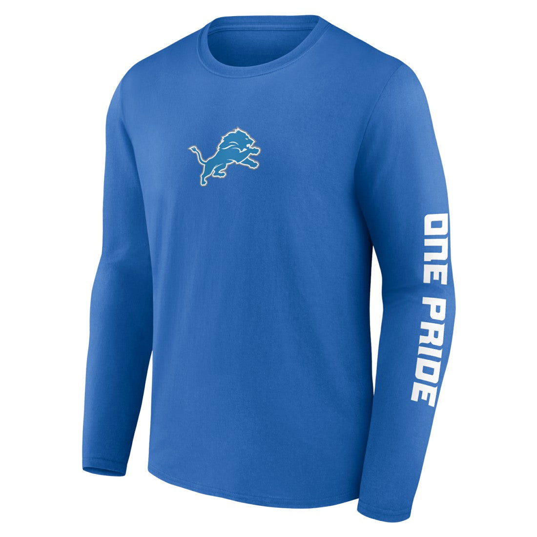 Detroit Lions One Pride Long Sleeve T-Shirt | NFL Near me