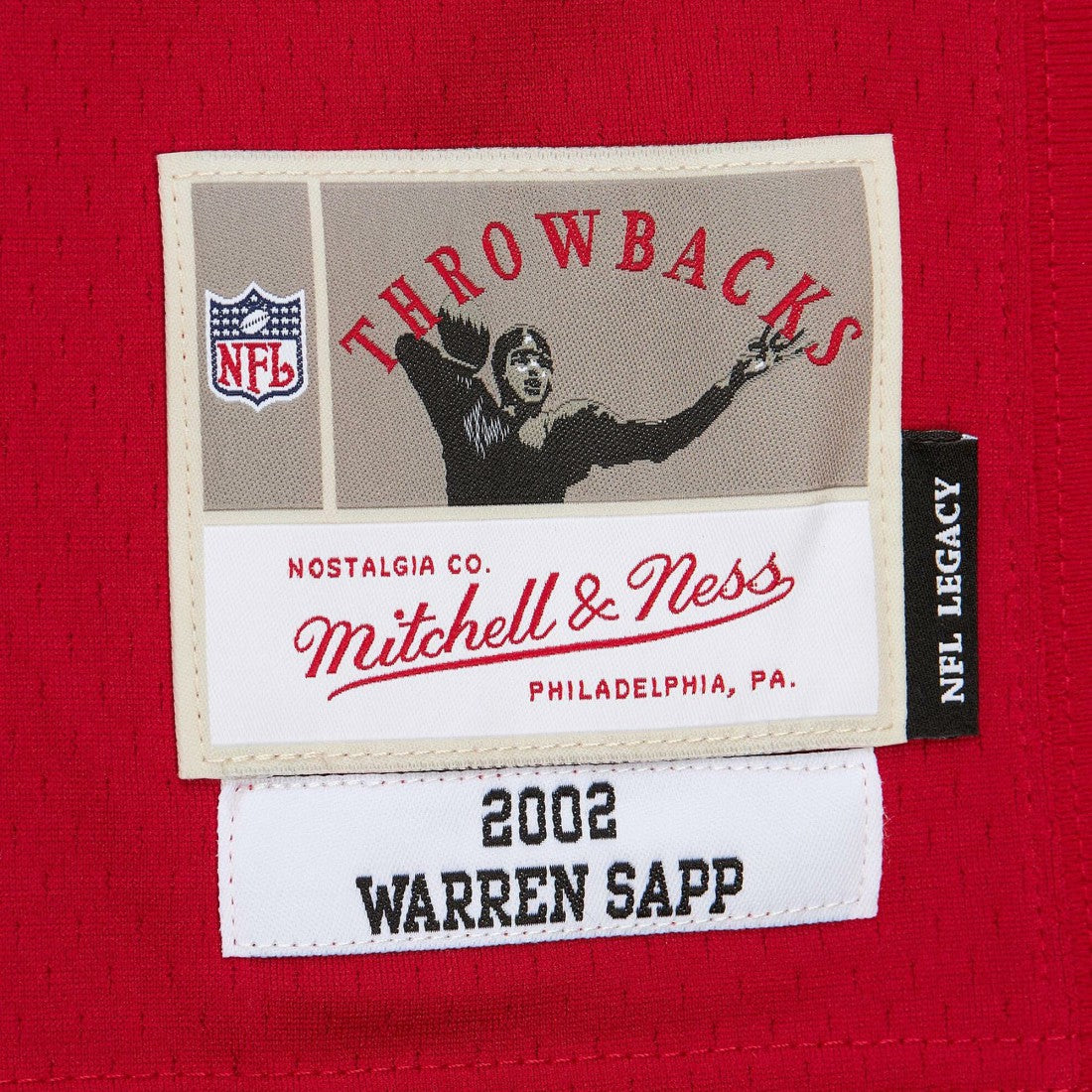 Tampa Bay Buccaneers Warren Sapp  2002 Legacy Replica Jersey | NFL Sale