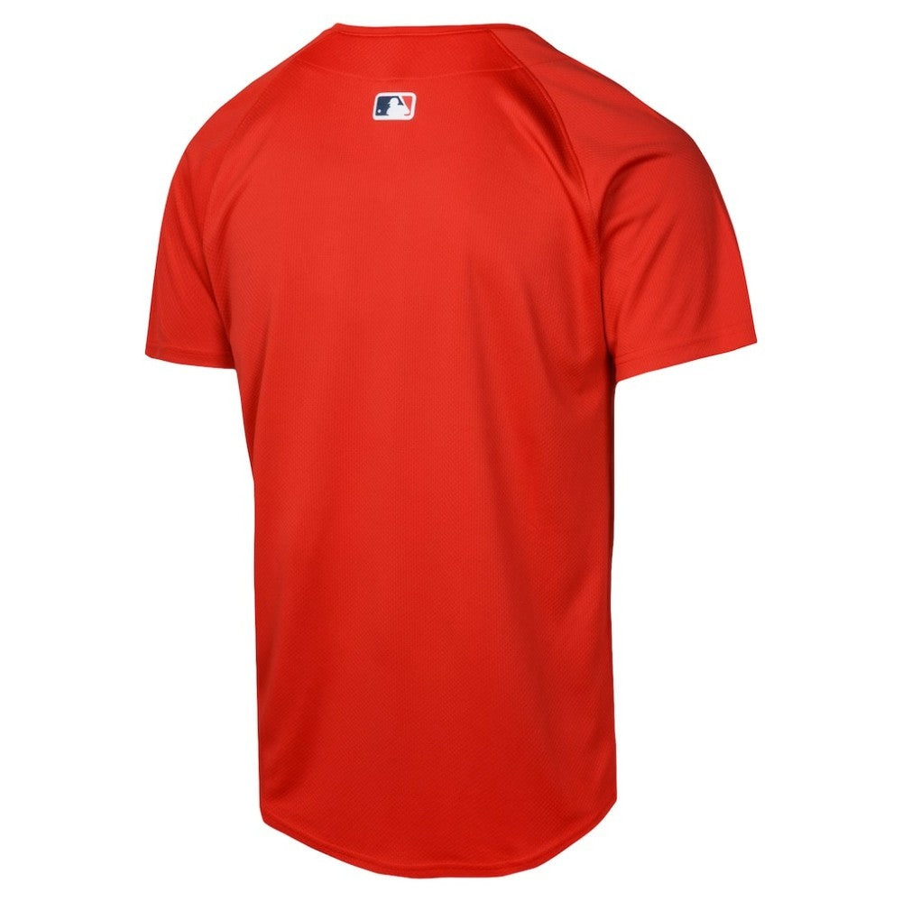 Boston Red Sox Nike Youth Alternate Limited Jersey - MLB Jerseys