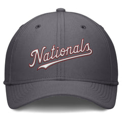 Washington Nationals Nike Swoosh Performance Flex Hat - MLB Hats