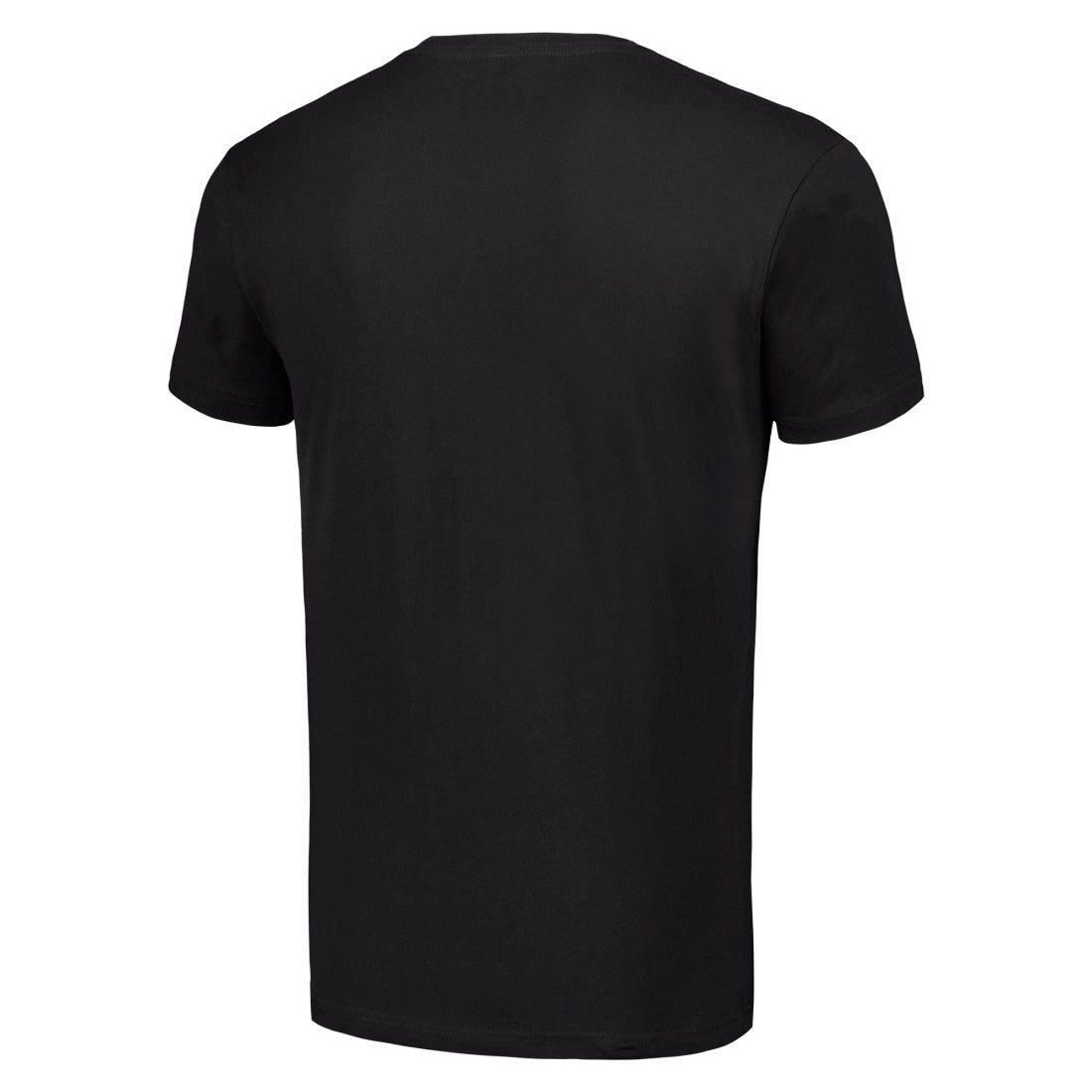Detroit Lions Starter 80s Inspired Team Logo T-Shirt | NFL Sale
