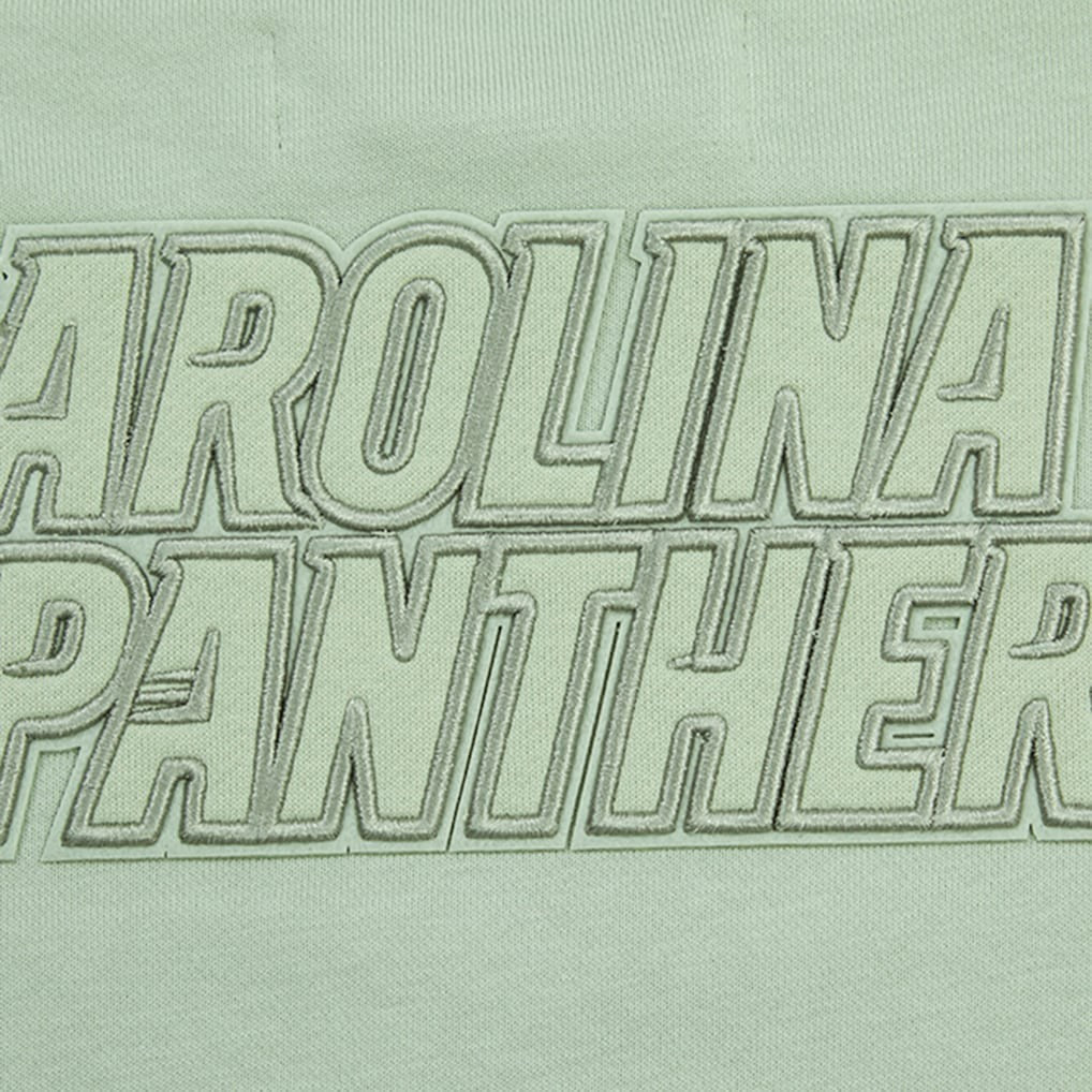 Carolina Panthers Pro Standard Women's Oversized Cropped Neutral Pullover Sweatshirt | NFL Online