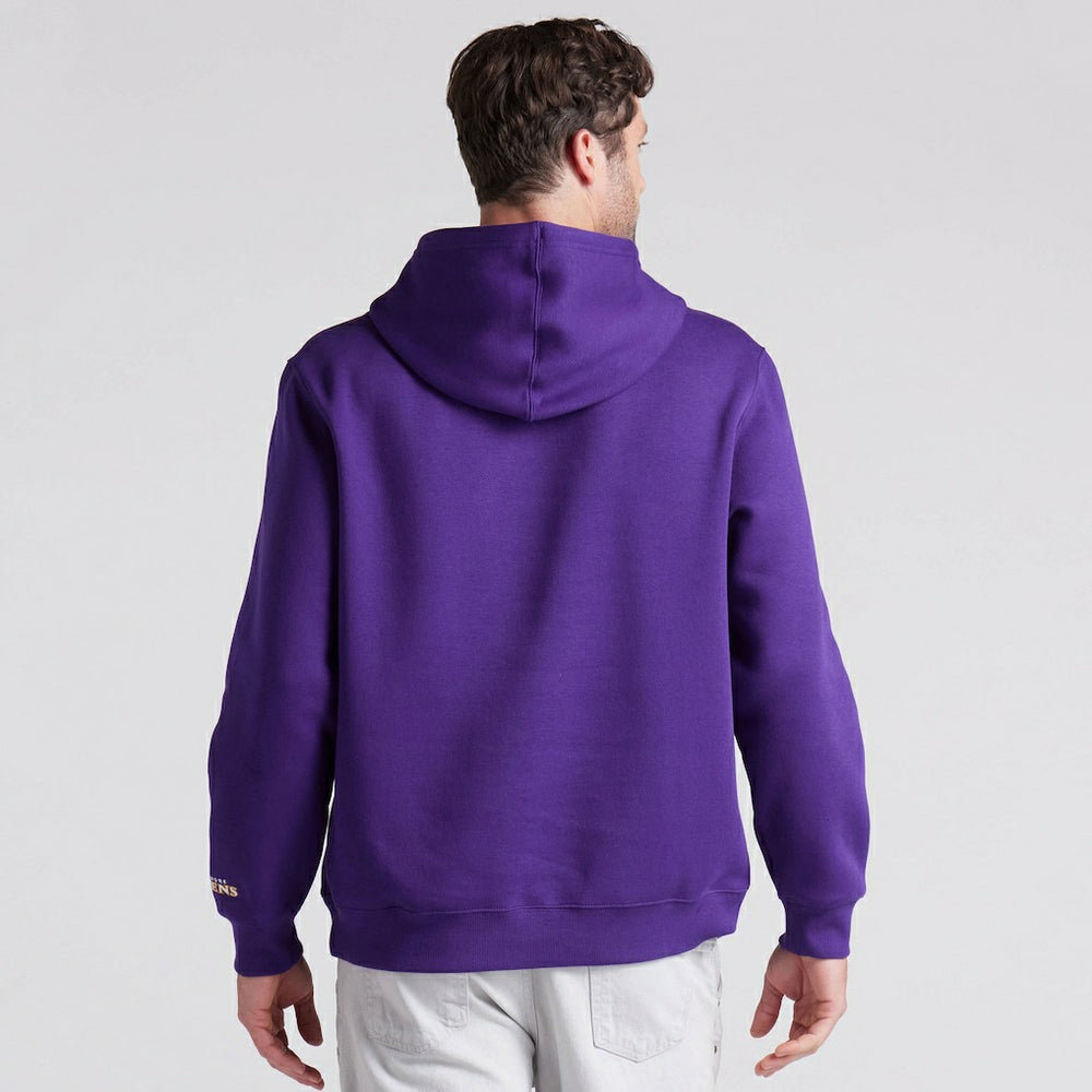 Baltimore Ravens Pylon Cam Legacy Pullover Hoodie | NFL Sale