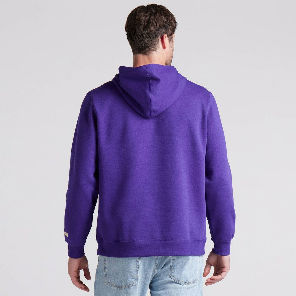 Minnesota Vikings Pylon Cam Legacy Pullover Hoodie | NFL On sale