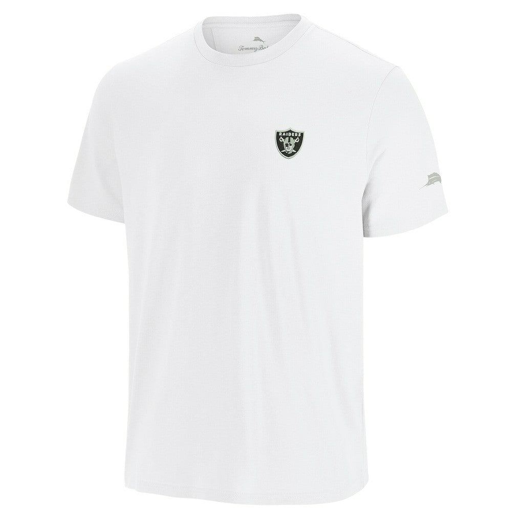 Las Vegas Raiders Sport Torchdown Graphic T-Shirt | NFL Sale