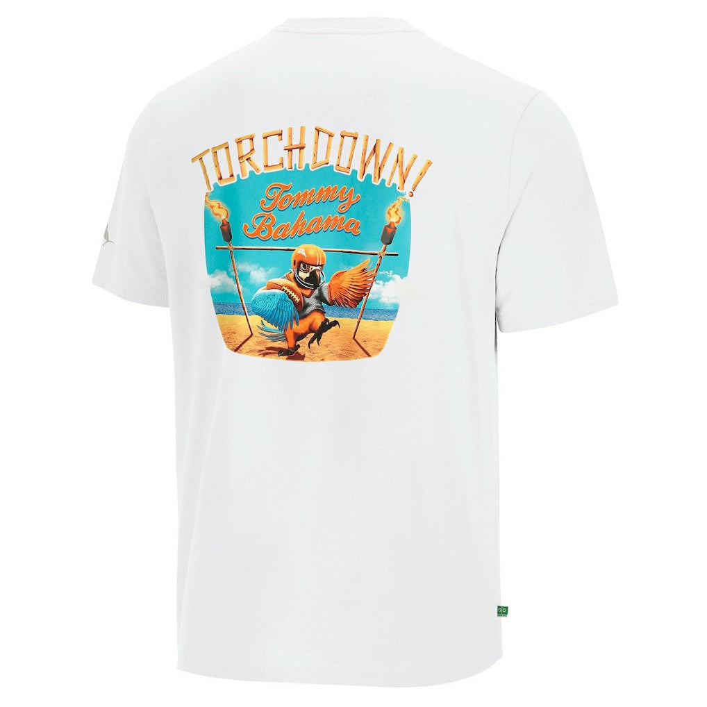 Minnesota Vikings Sport Torchdown Graphic T-Shirt | NFL Discount