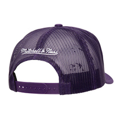 Purple Phoenix Suns Core Evergreen OTC Trucker Adjustable Hat | NBA