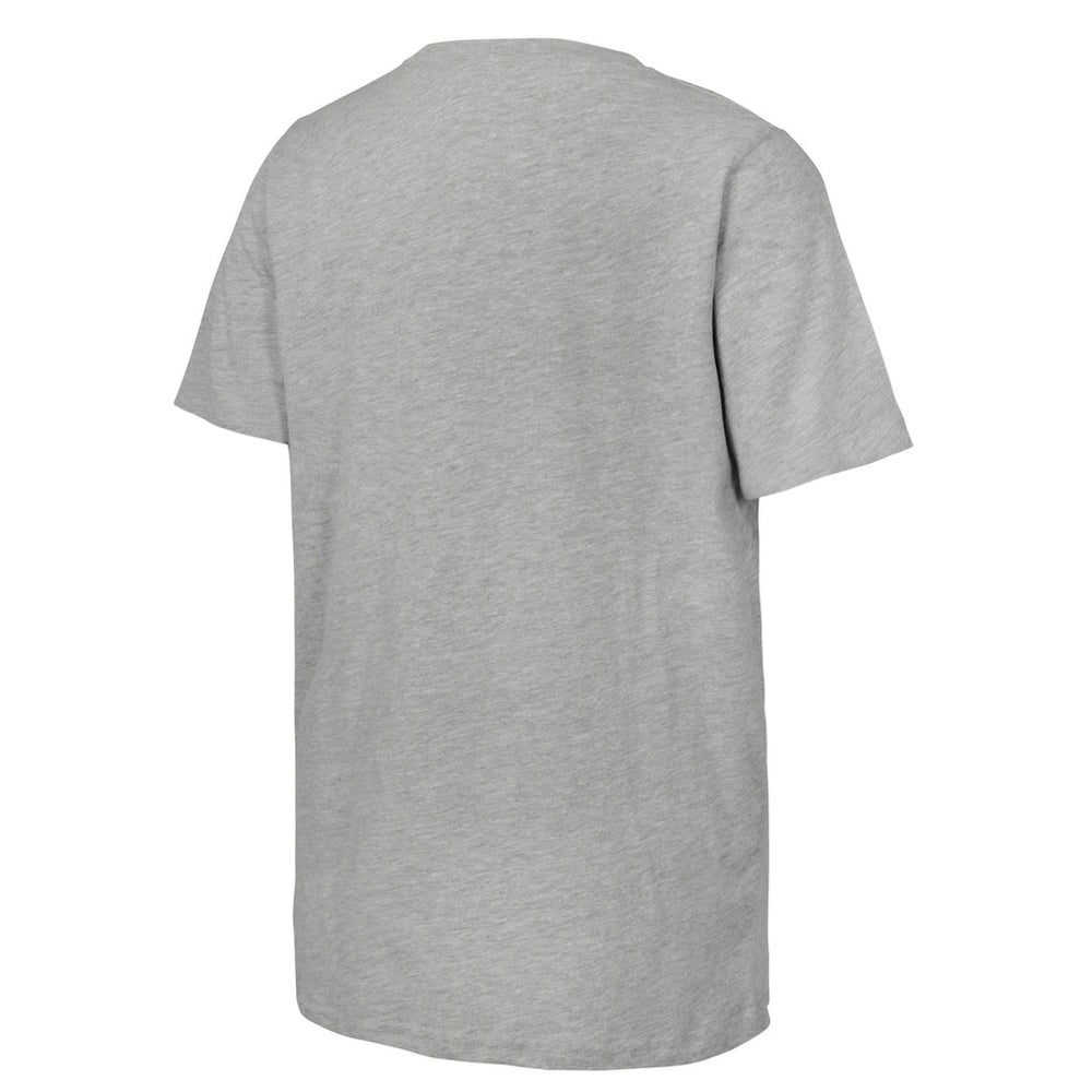Heather Gray Boston Celtics Stadium Essentials Unisex 2024 NBA Finals Revolution T-Shirt | NBA