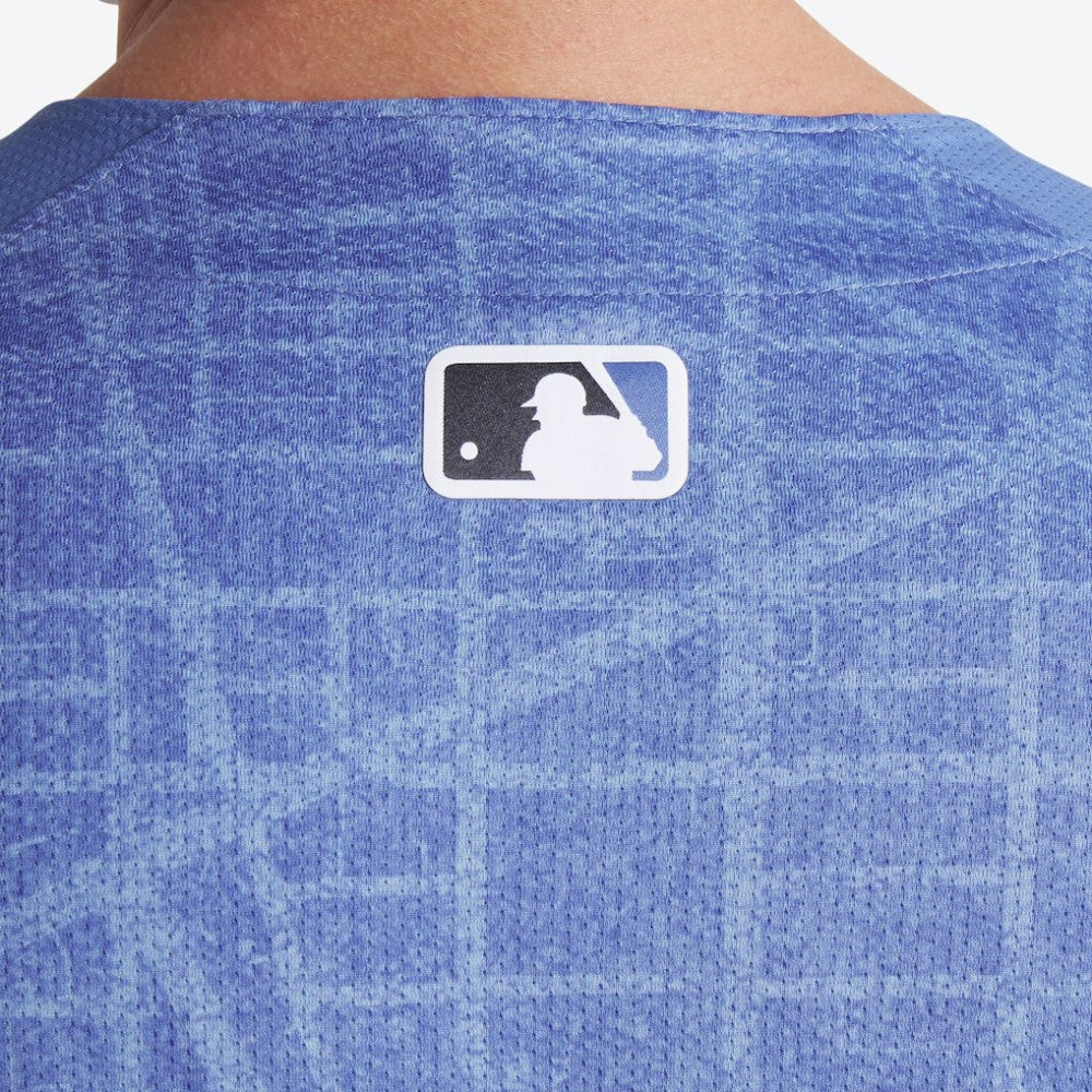 Washington Nationals Nike 2025 City Connect Limited Jersey - MLB Jerseys