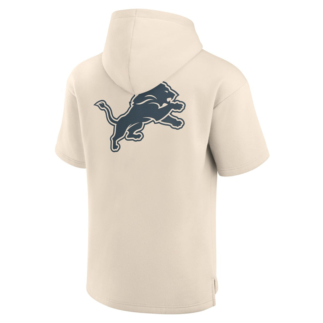 Detroit Lions Elements Future Ground Lettering Short Sleeve Pullover Hoodie | NFL New