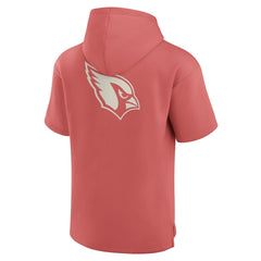 Arizona Cardinals Elements Future Ground Lettering Short Sleeve Pullover Hoodie | NFL Sale