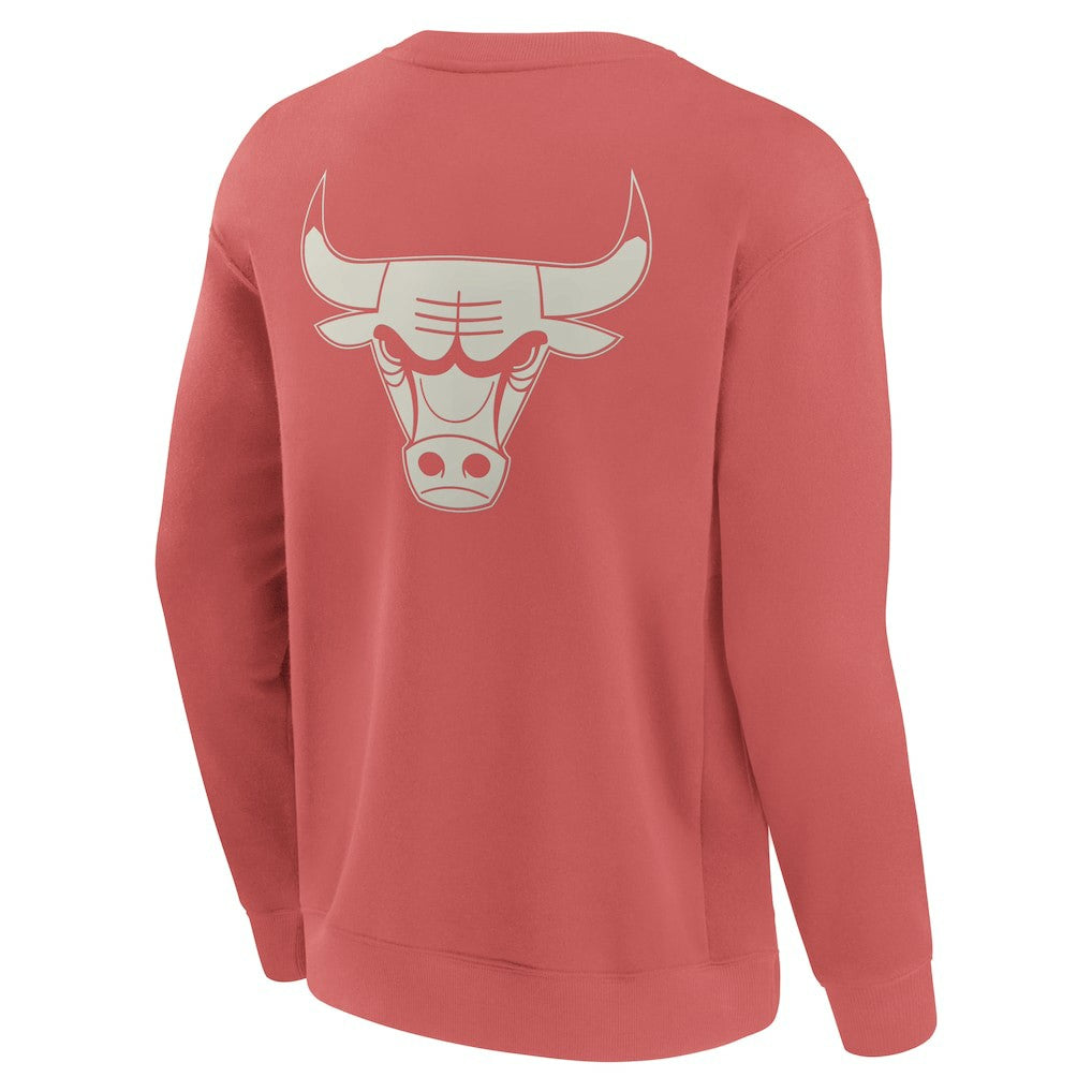 Red Chicago Bulls Elements Future Ground Lettering Pullover Sweatshirt | NBA