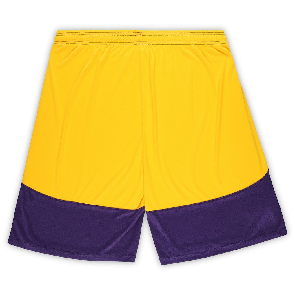Minnesota Vikings Big & Tall Launch Shorts | NFL Near me