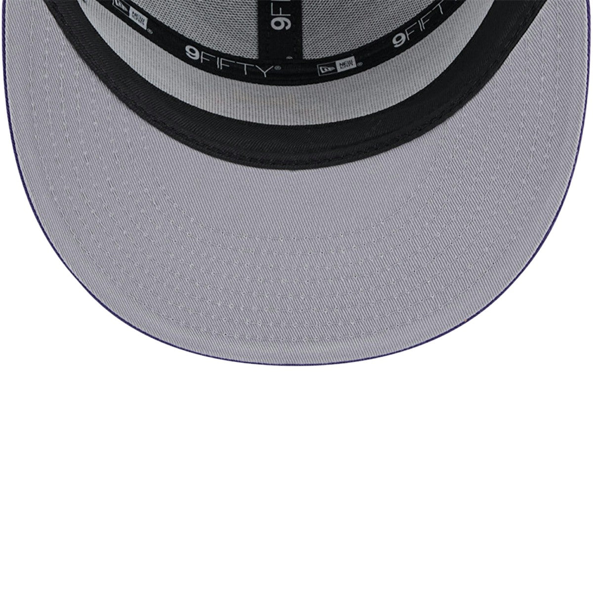 Purple Phoenix Suns Victory Grove Split Panel 9FIFTY Snapback Hat | NBA