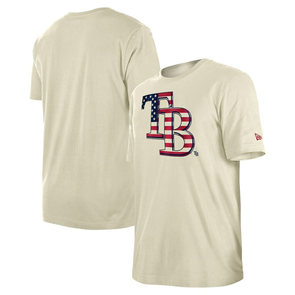 Tampa Bay Rays New Era Americana Flag Fill T-Shirt - MLB T-shirts