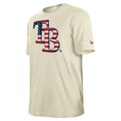 Tampa Bay Rays New Era Americana Flag Fill T-Shirt - MLB T-shirts
