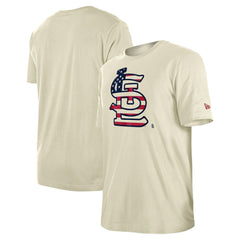 St. Louis Cardinals New Era Americana Flag Fill T-Shirt - MLB T-shirts