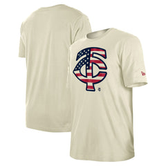 Minnesota Twins New Era Americana Flag Fill T-Shirt - MLB T-shirts