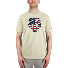Minnesota Twins New Era Americana Flag Fill T-Shirt - MLB T-shirts