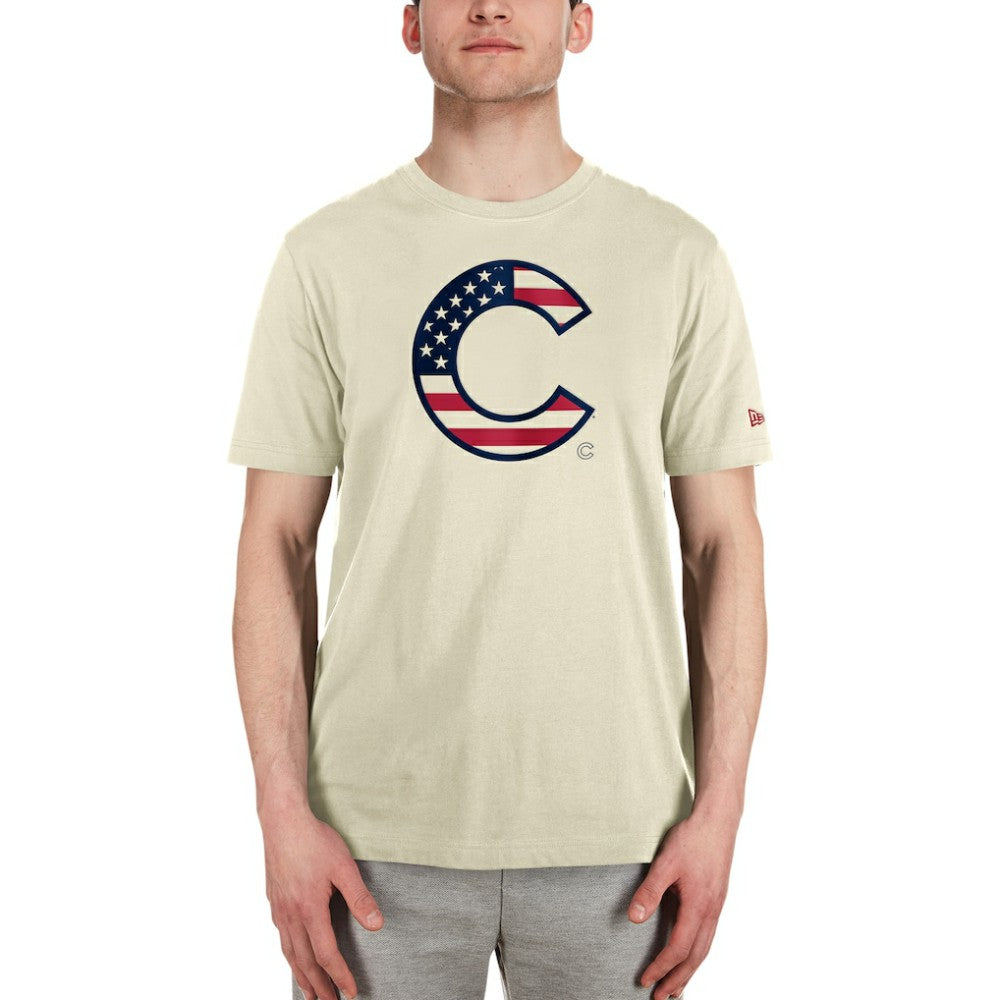 Chicago Cubs New Era Americana Flag Fill T-Shirt - MLB T-shirts