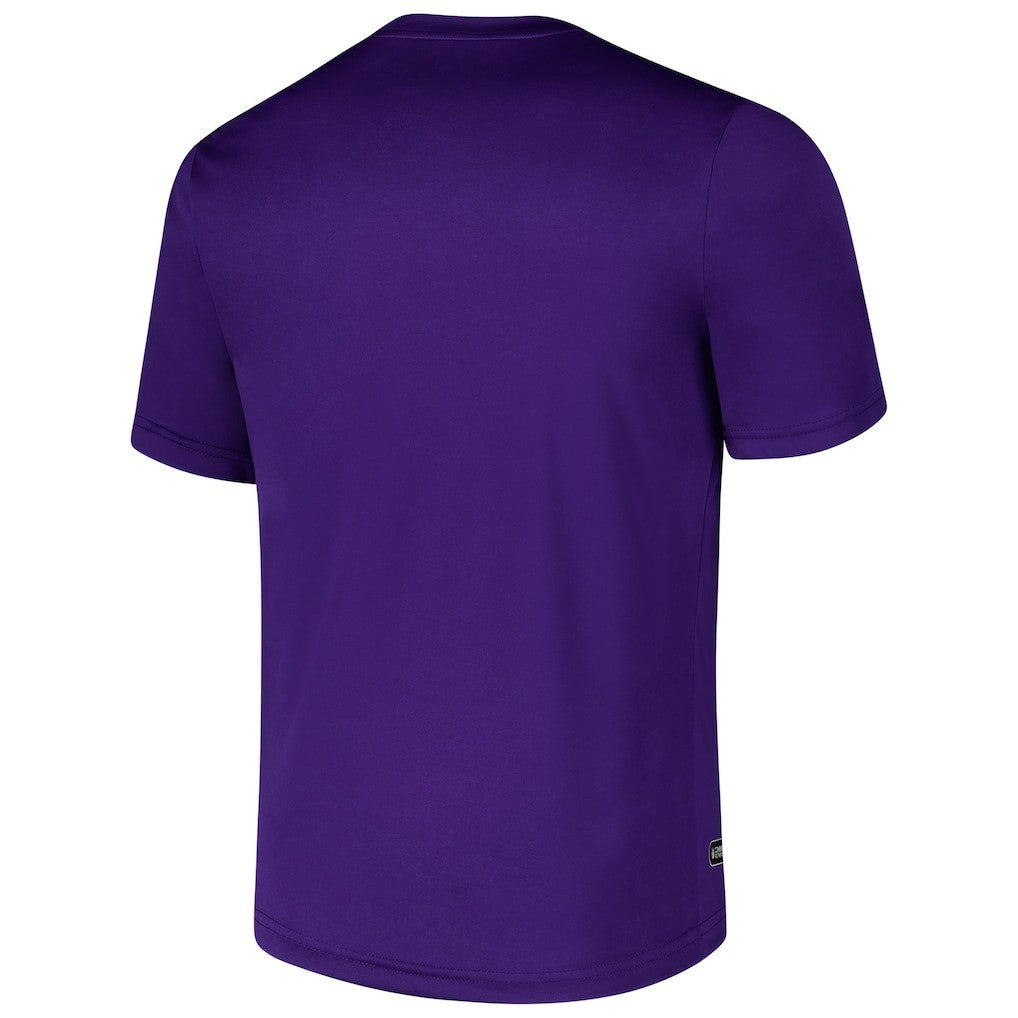 Minnesota Vikings Stadium Retro T-Shirt | NFL Sale
