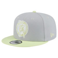 Gray/Light Green Boston Celtics Color Pack Two-Tone 9FIFTY Snapback Hat | NBA